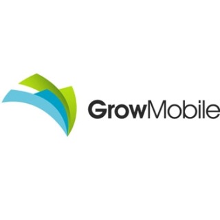 受 300% 收入增长的推动，Grow Mobile 扩大了管理团队